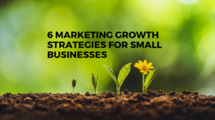 6-marketing-growth-strategies-small-businesses blog Hot Dog Marketing
